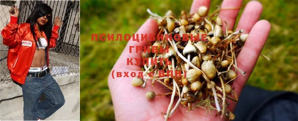 бутират Волосово