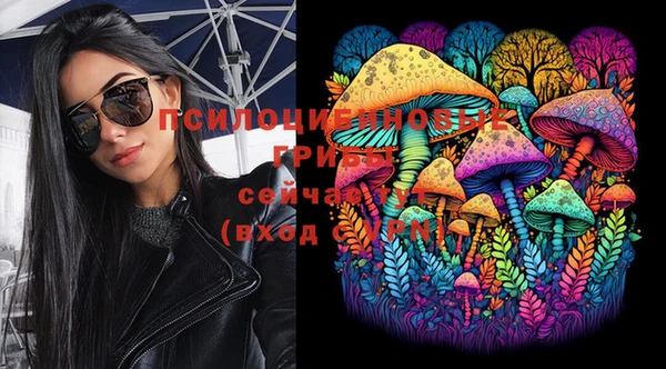 PSILOCYBIN Волоколамск