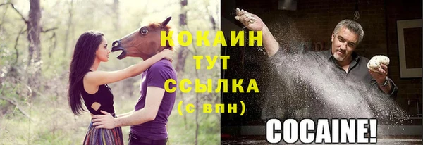 PSILOCYBIN Волоколамск