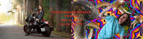 PSILOCYBIN Волоколамск