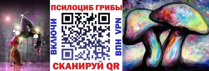 магазин  наркотиков  Елизаветинская  Псилоцибиновые грибы Psilocybine cubensis 